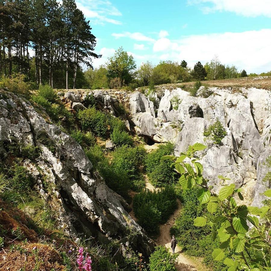 Verblijfpark Ardinam Olloy-sur-Viroin 외부 사진